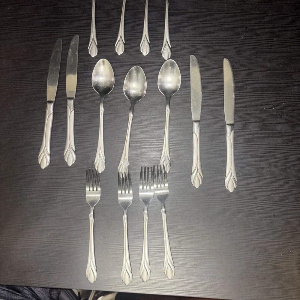 Hampton Silversmiths Stainless Flatware Set of 15